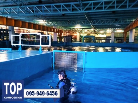 เคลือบบ่ออควาเรี่ยม